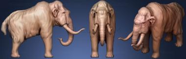 3D model elefant (STL)